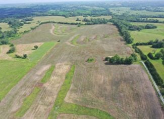 60 Acre m/l Row Crop Farm with Building Site in NW Missouri