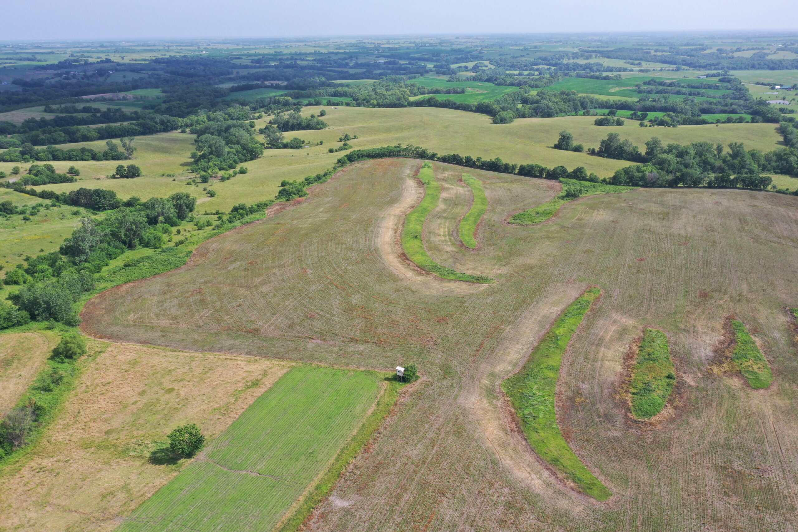 60 Acre m/l Row Crop Farm with Building Site in NW Missouri