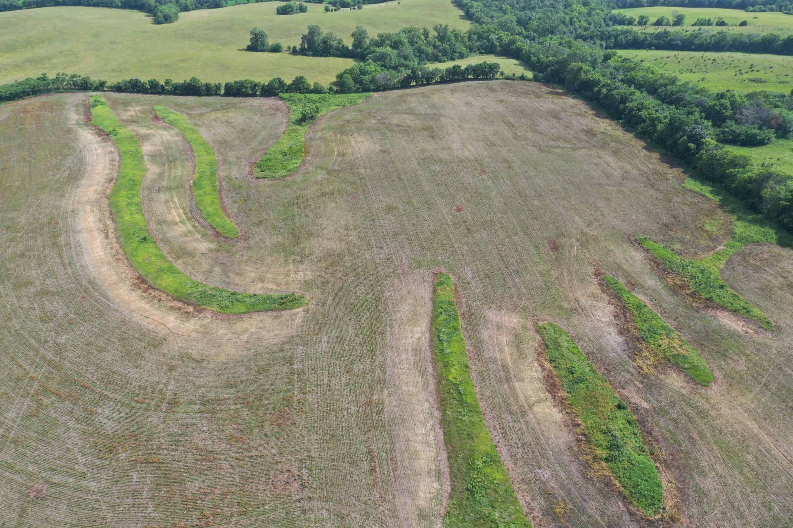 60 Acre m/l Row Crop Farm with Building Site in NW Missouri
