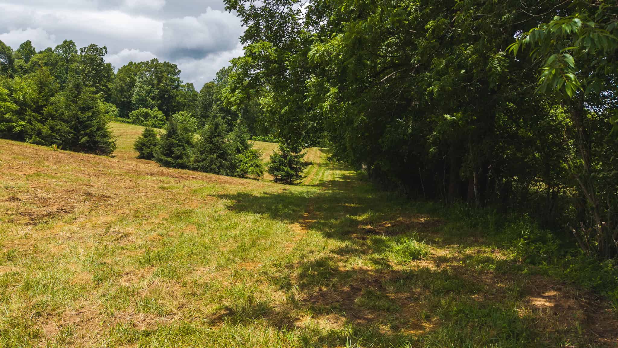Land with Pond, Willis VA