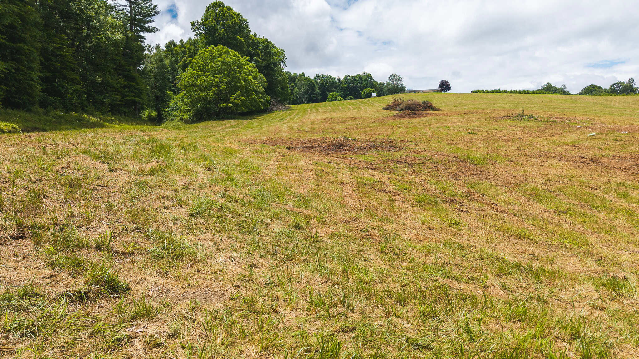 Land with Pond, Willis VA