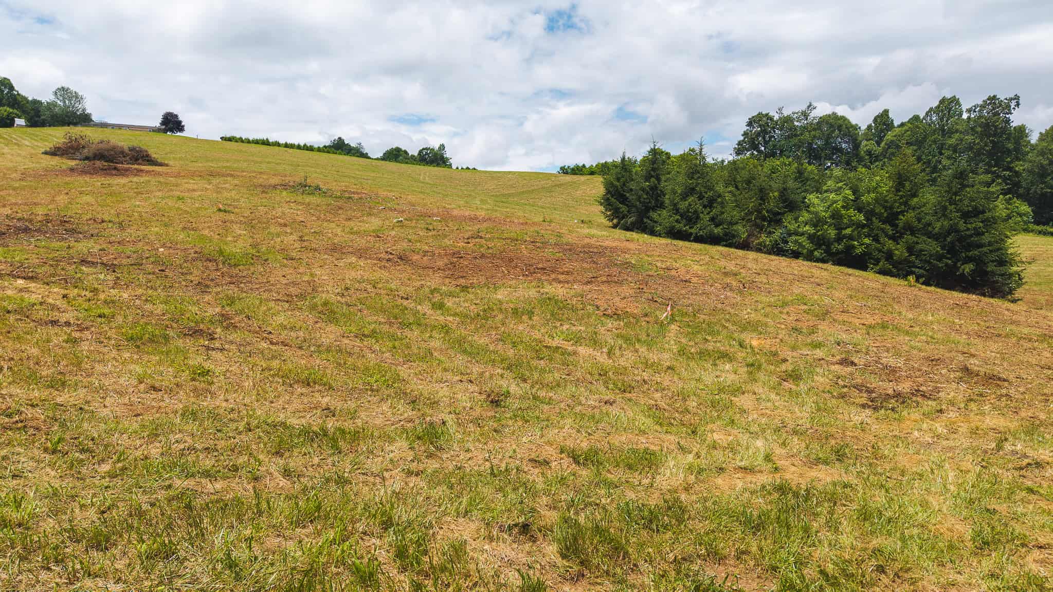 Land with Pond, Willis VA