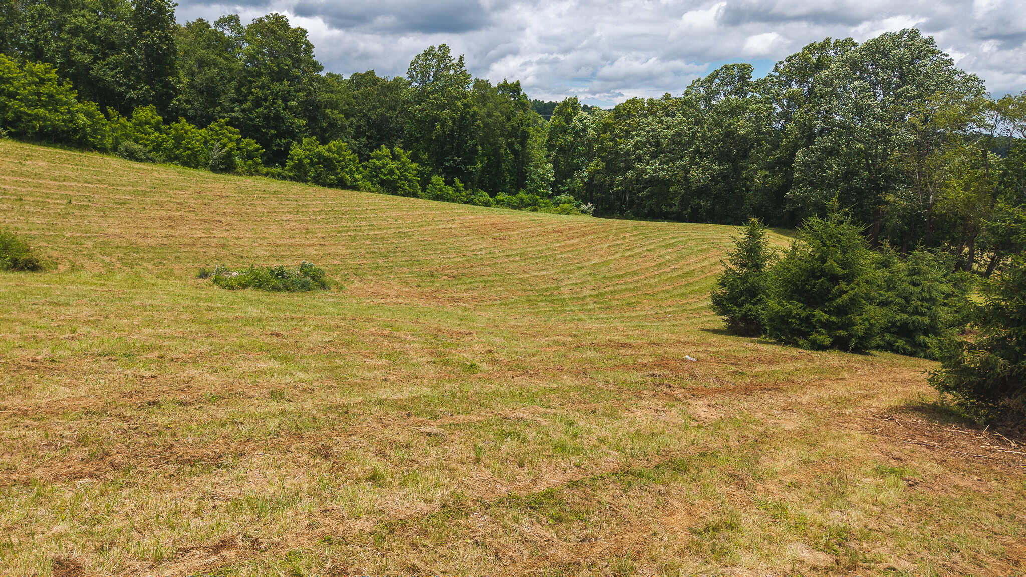 Land with Pond, Willis VA