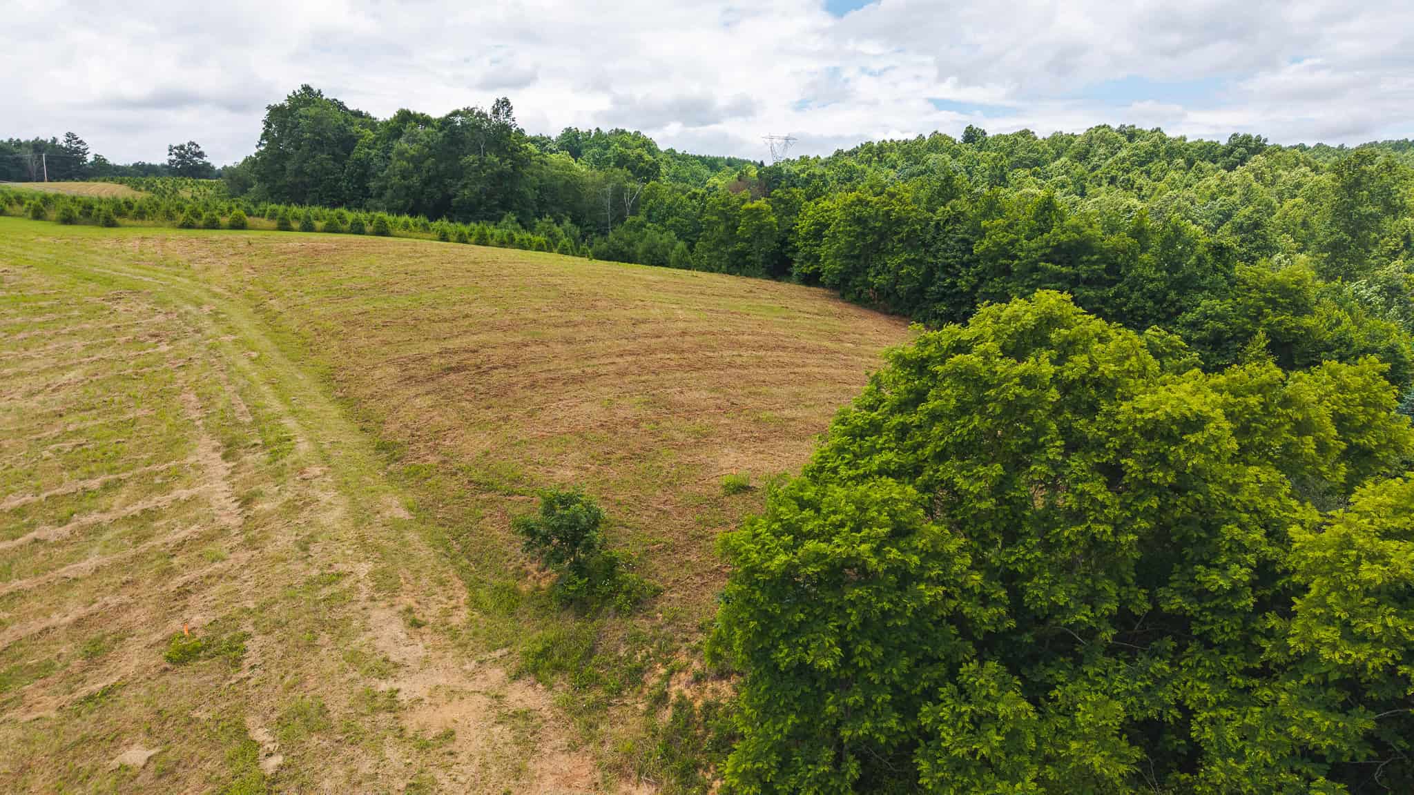 Land with Pond, Willis VA
