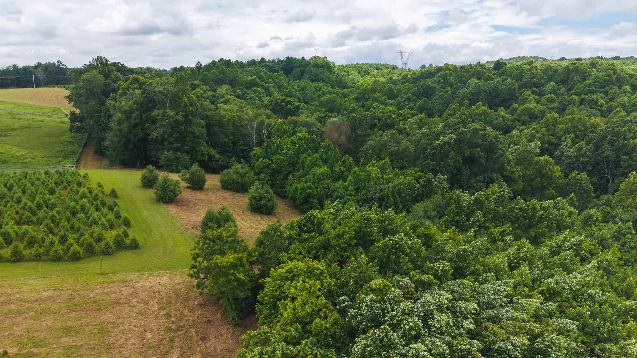 Land with Pond, Willis VA