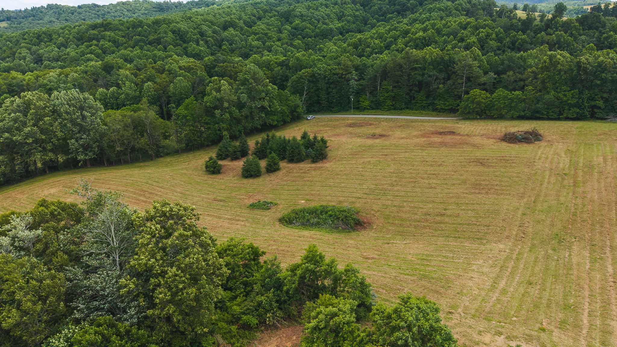 Land with Pond, Willis VA
