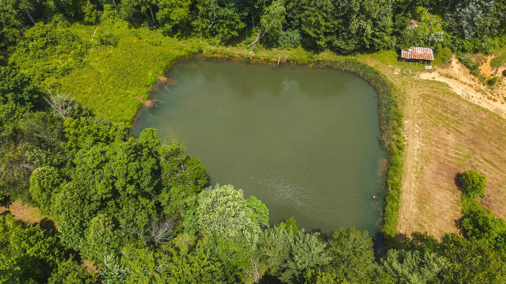 Land with Pond, Willis VA