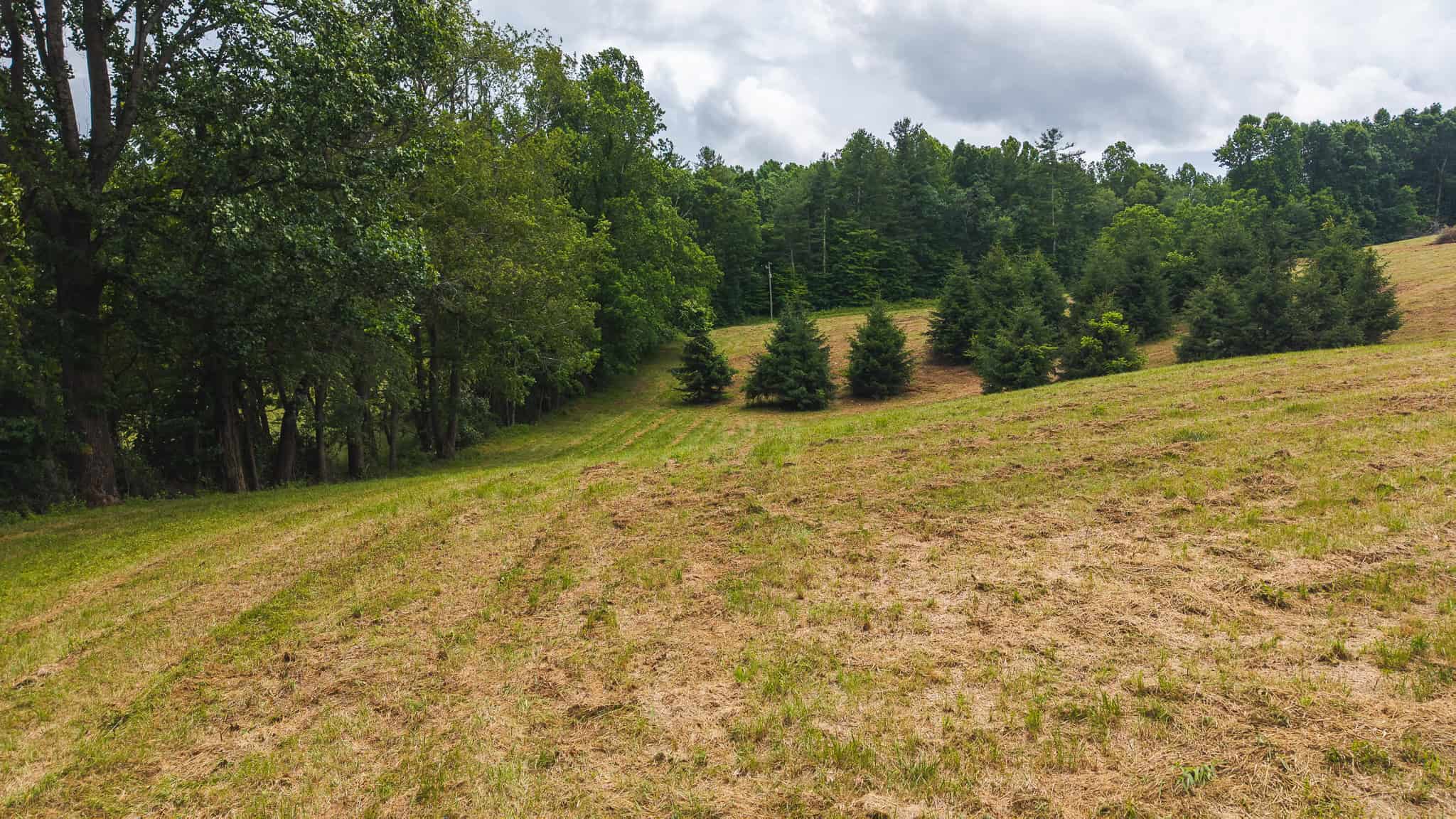 Land with Pond, Willis VA