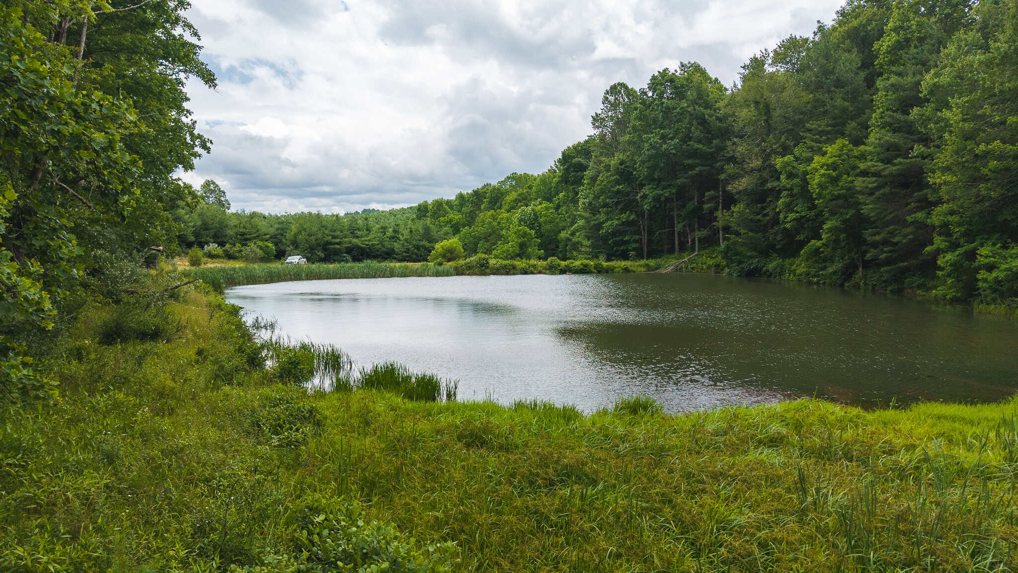 Land with Pond, Willis VA