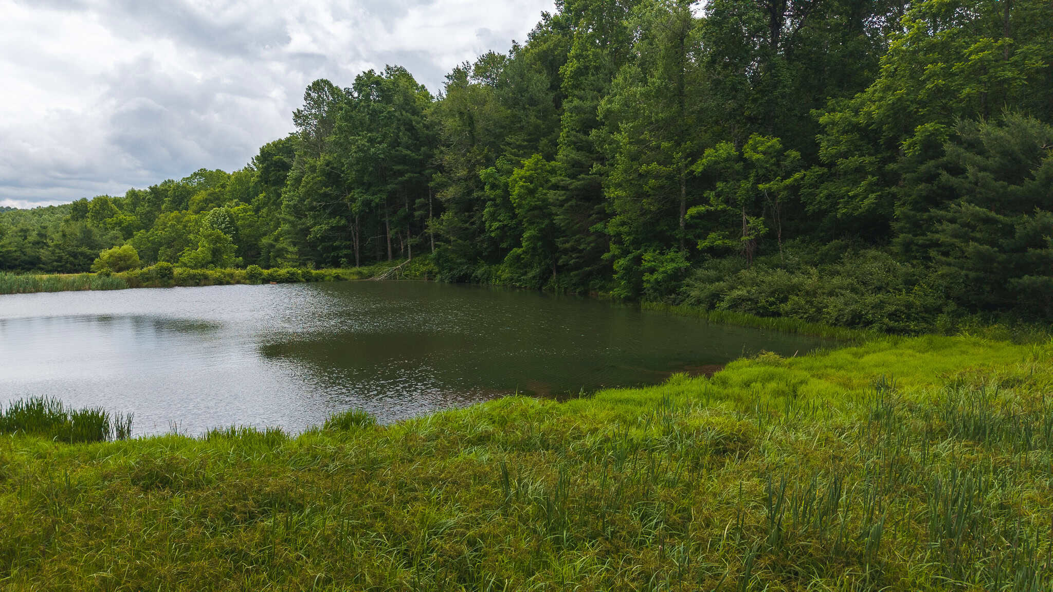 Land with Pond, Willis VA