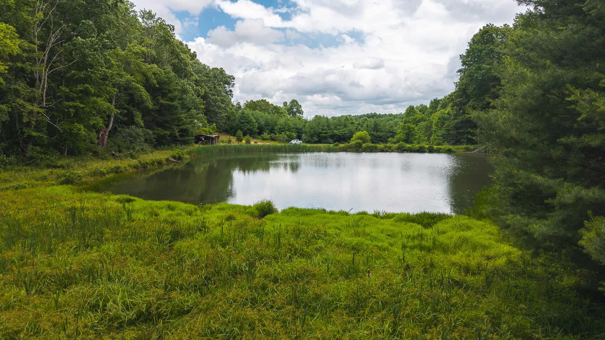 Land with Pond, Willis VA