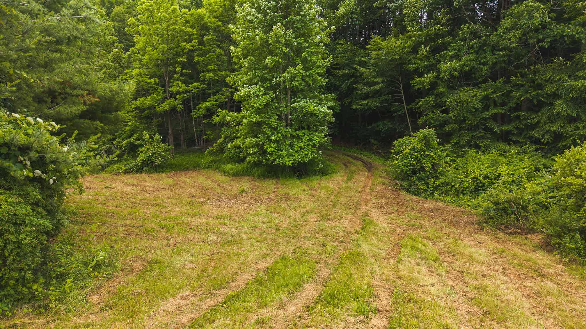 Land with Pond, Willis VA