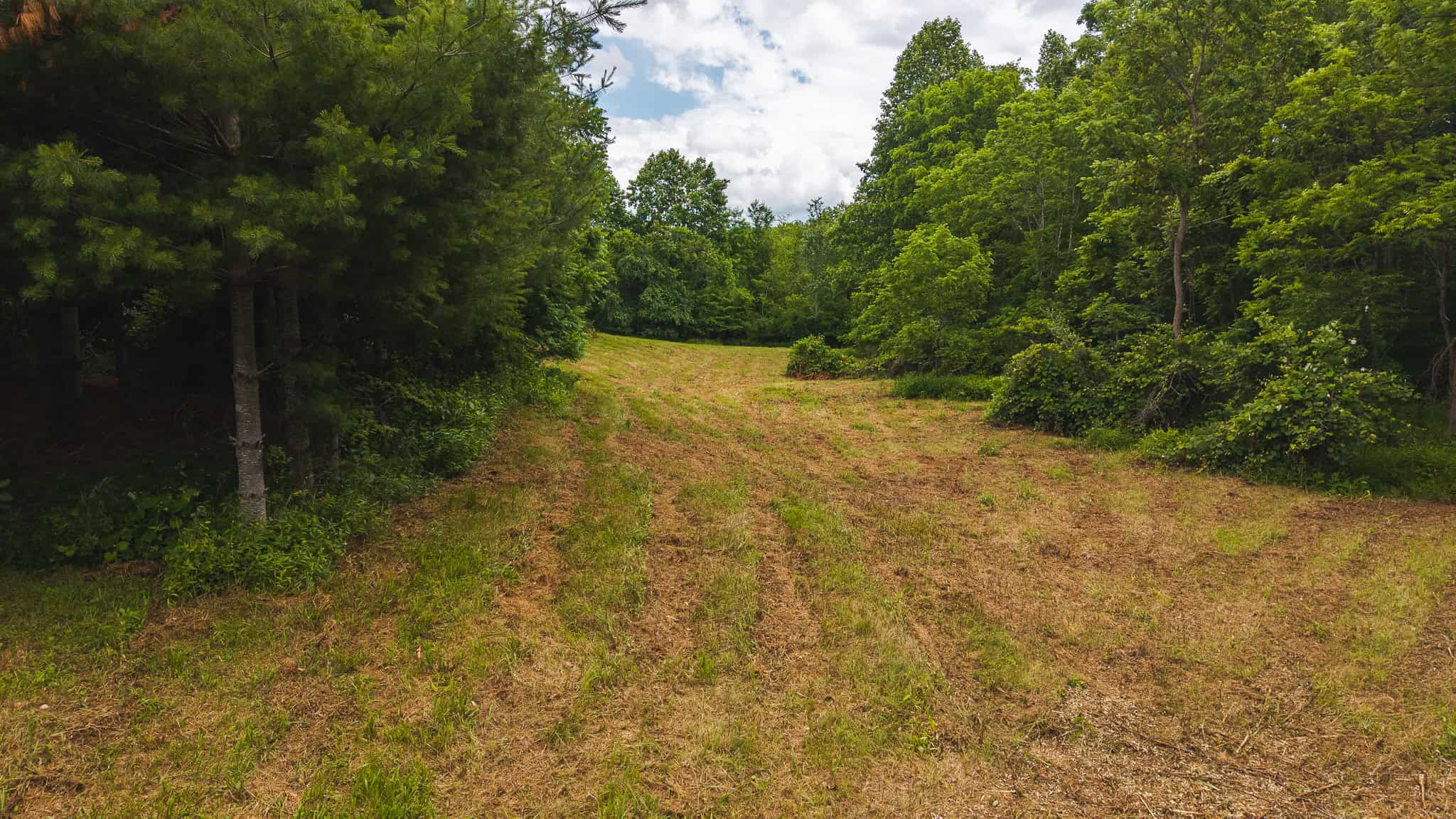Land with Pond, Willis VA