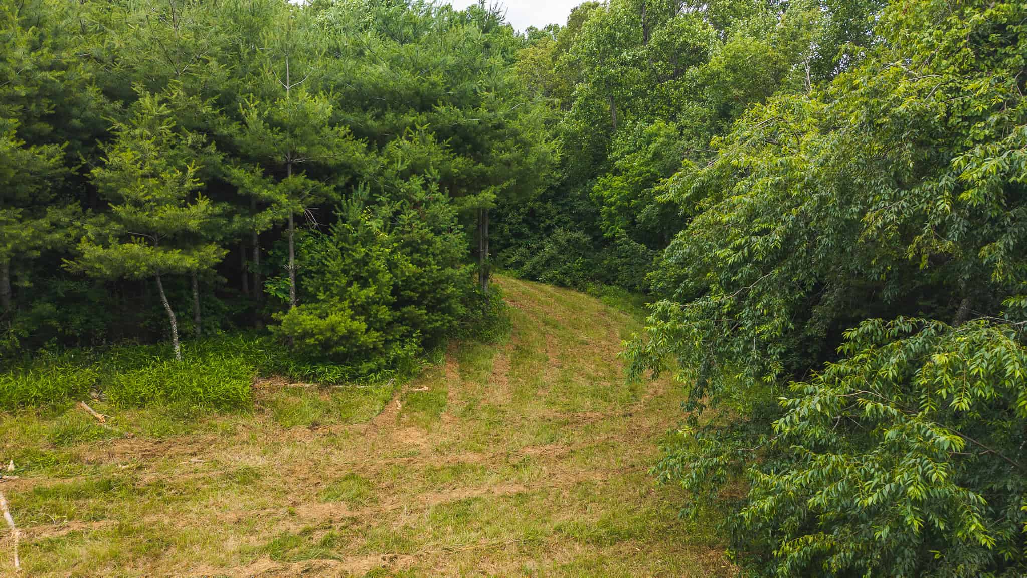 Land with Pond, Willis VA