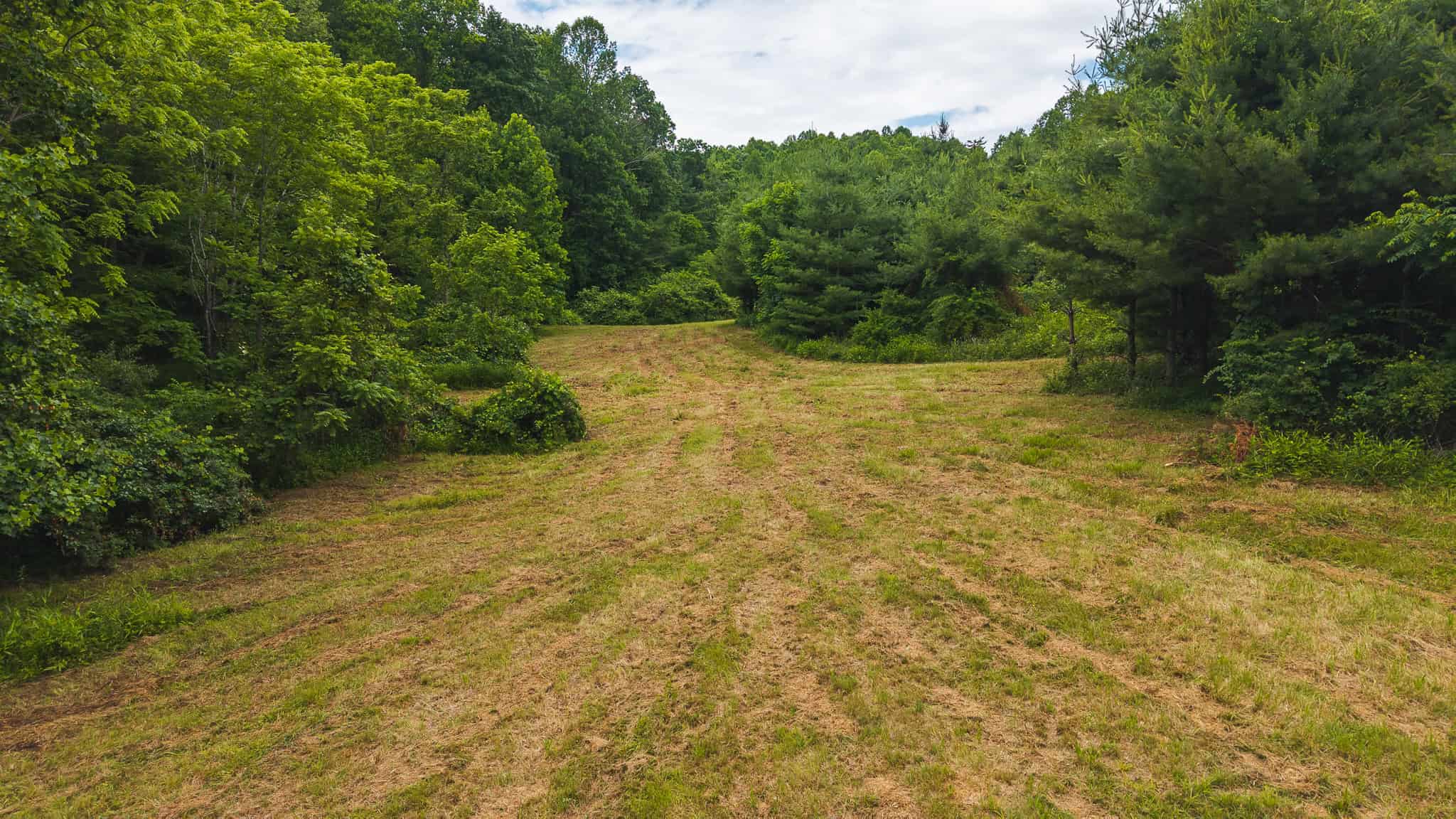 Land with Pond, Willis VA