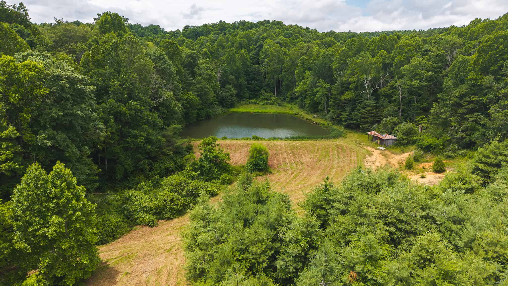 Land with Pond, Willis VA