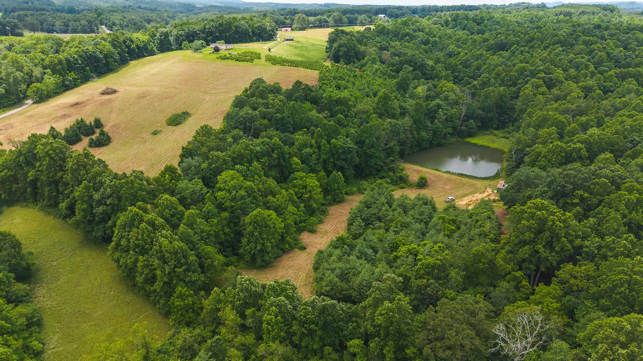 Land with Pond, Willis VA
