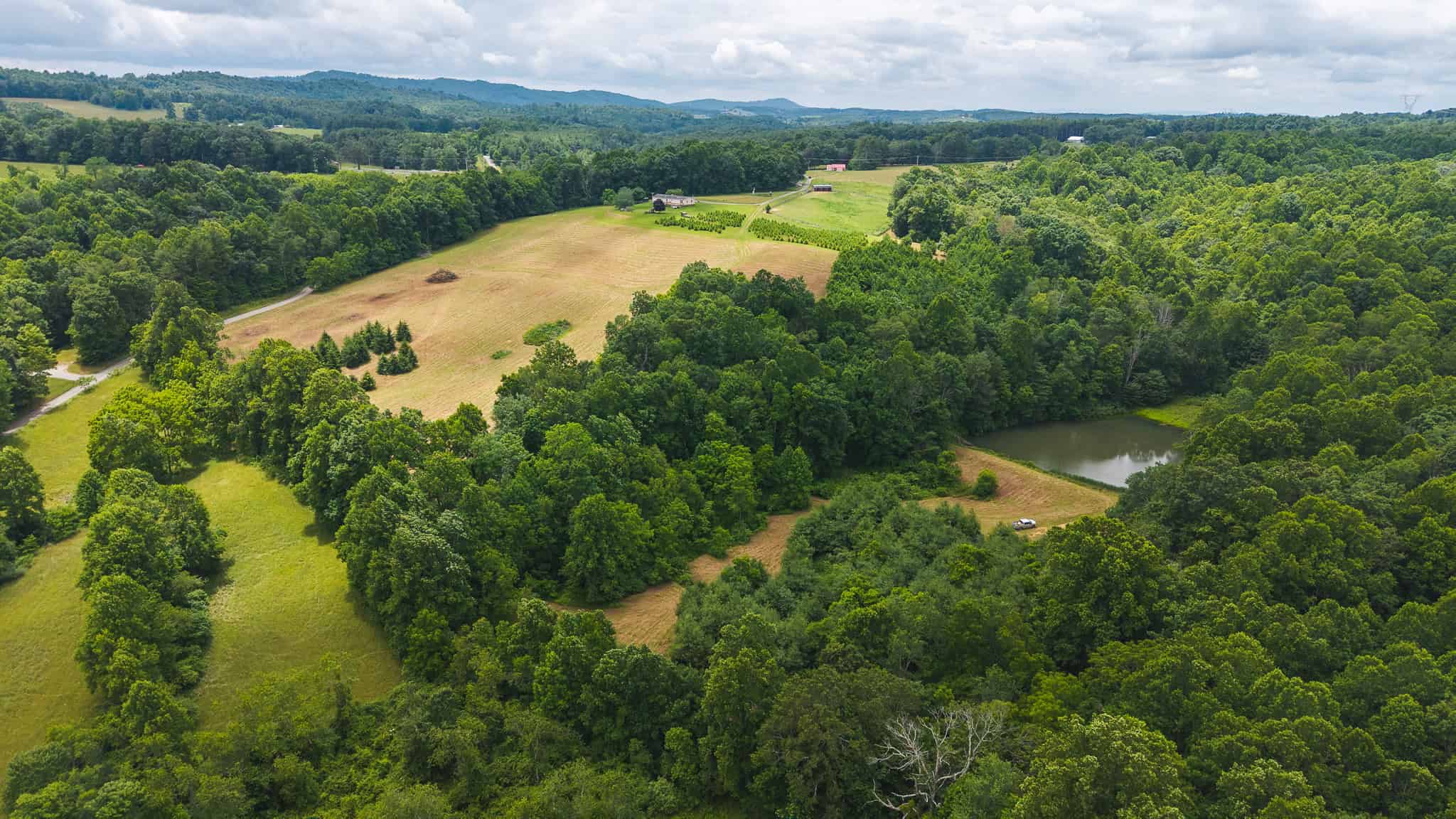 Land with Pond, Willis VA