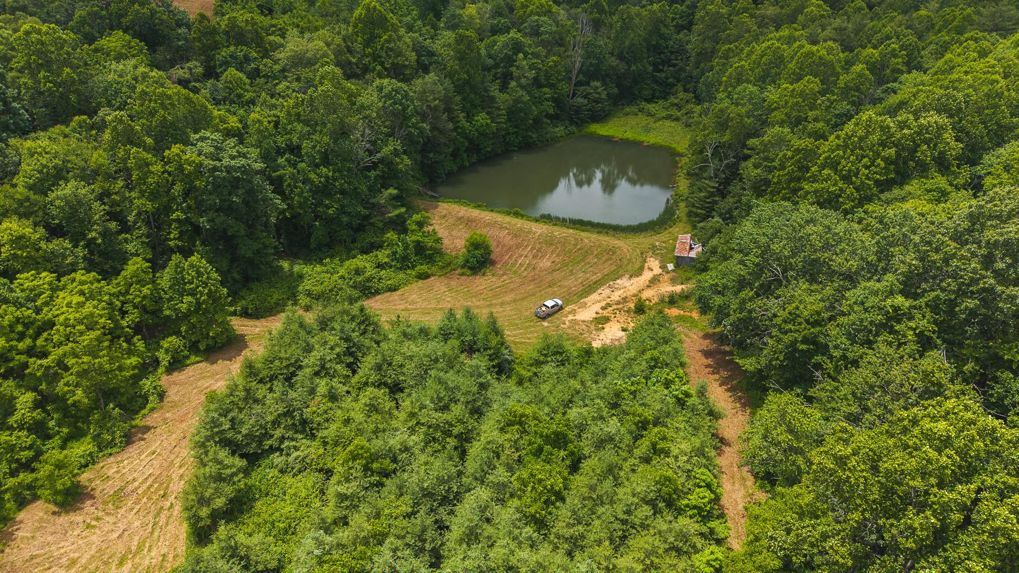 Land with Pond, Willis VA