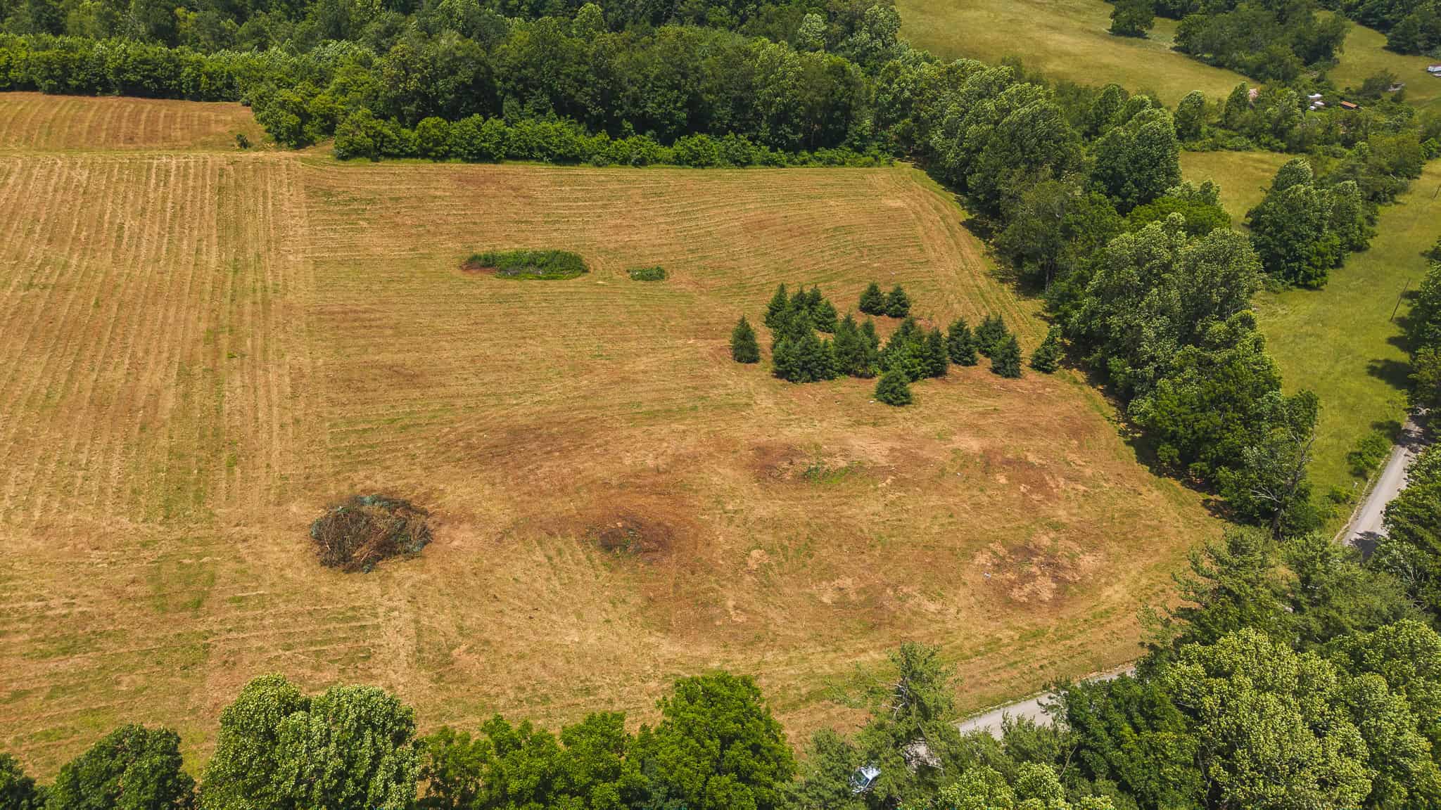 Land with Pond, Willis VA