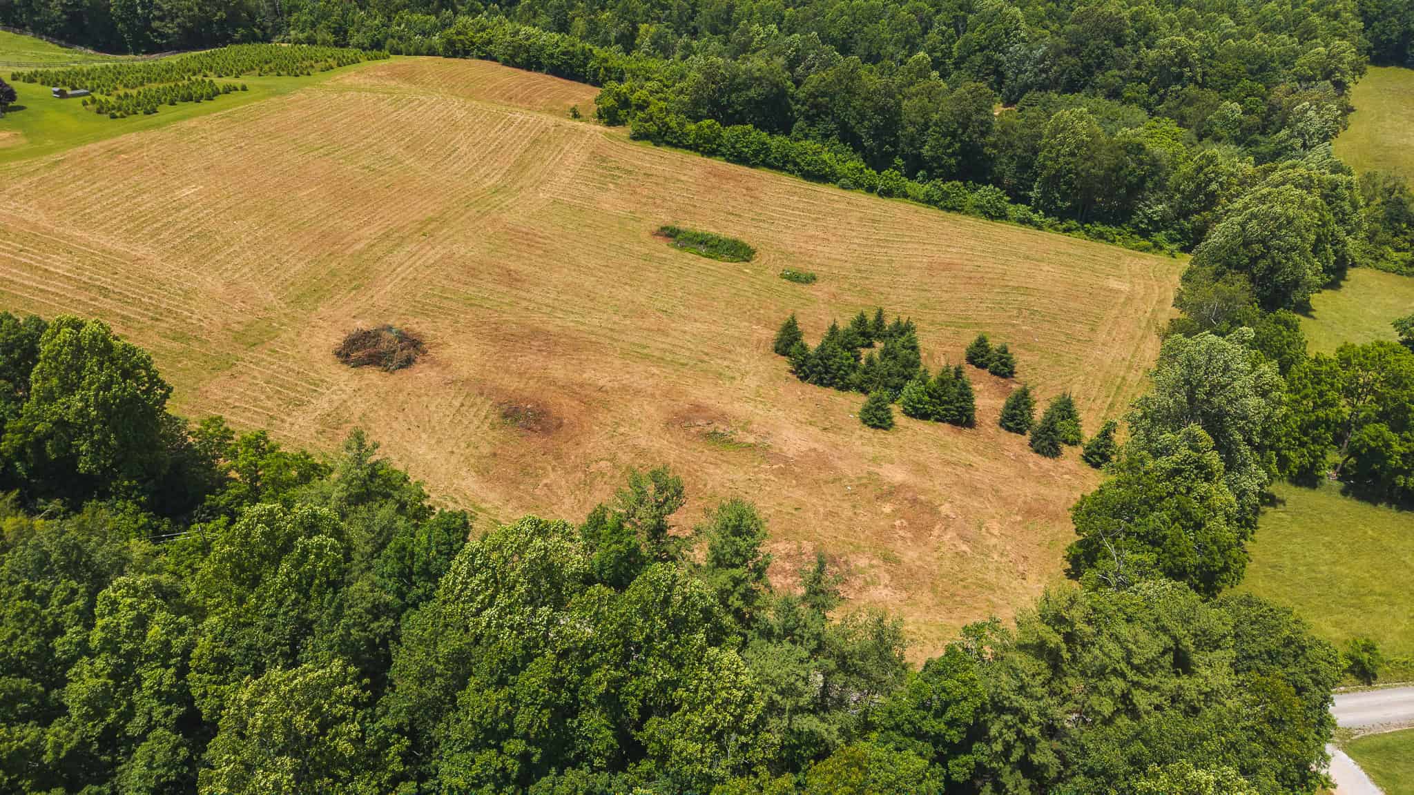 Land with Pond, Willis VA
