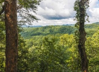 Private Retreat and Cabin for Sale in Scott Co