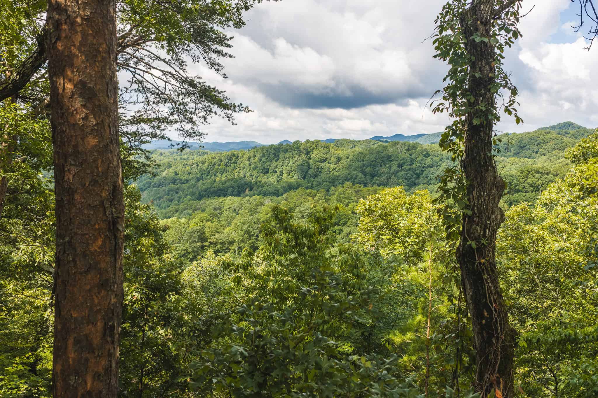 Private Retreat and Cabin for Sale in Scott Co