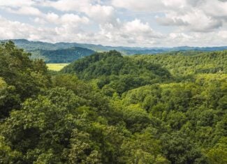 Private Retreat and Cabin for Sale in Scott Co