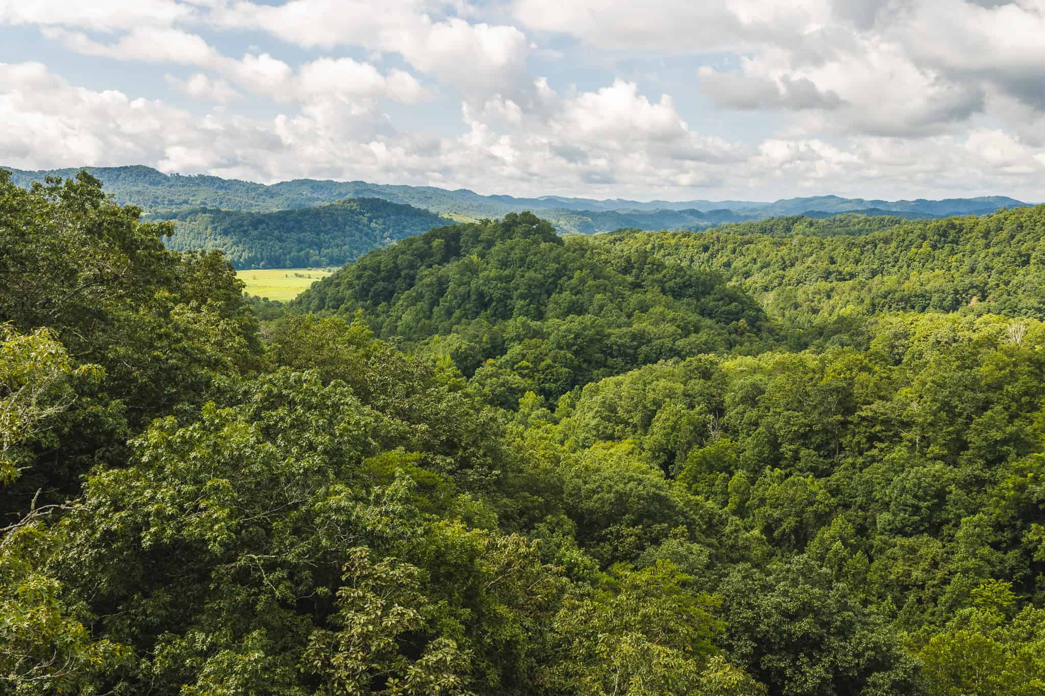 Private Retreat and Cabin for Sale in Scott Co