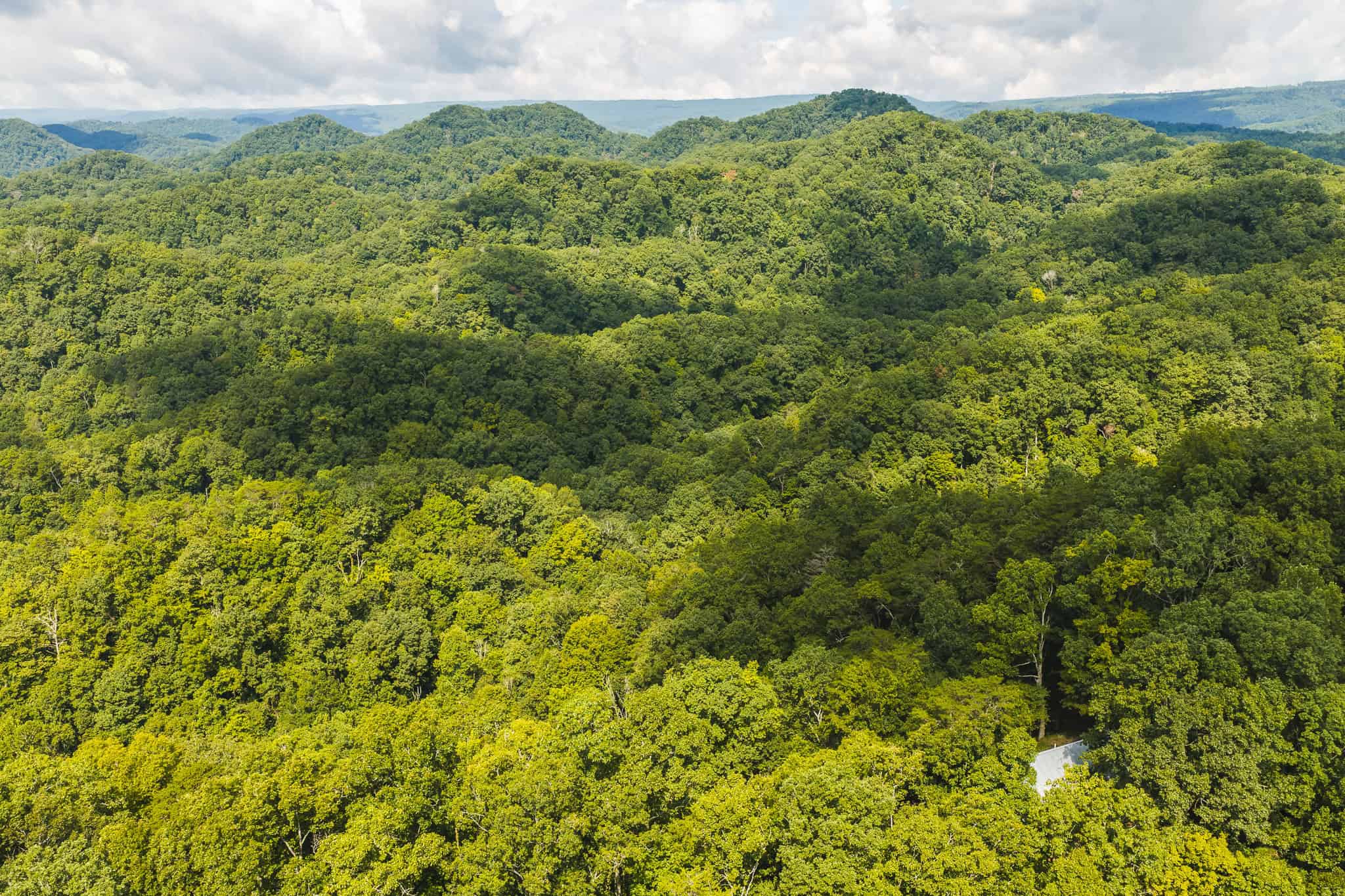 Private Retreat and Cabin for Sale in Scott Co