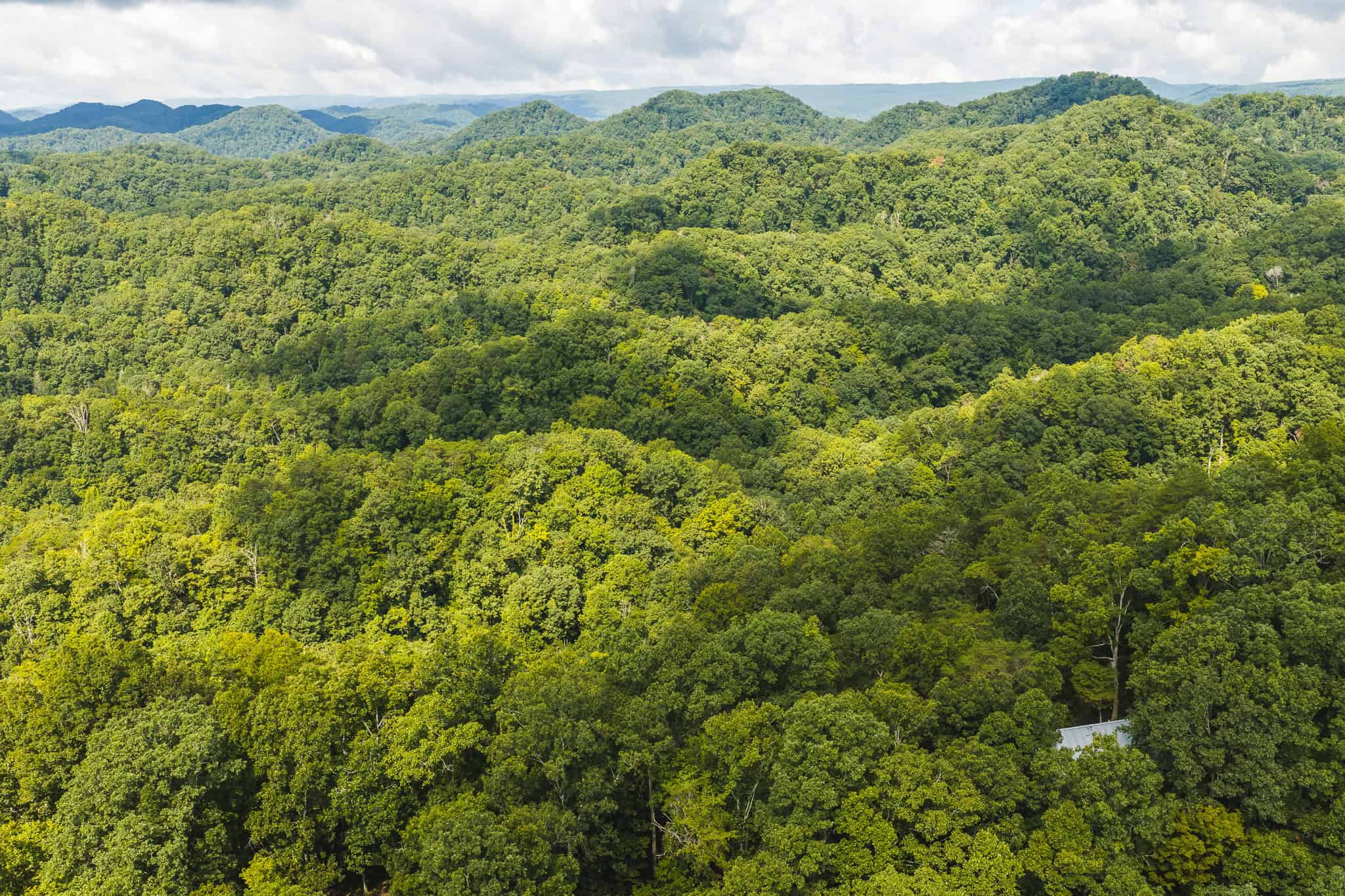 Private Retreat and Cabin for Sale in Scott Co