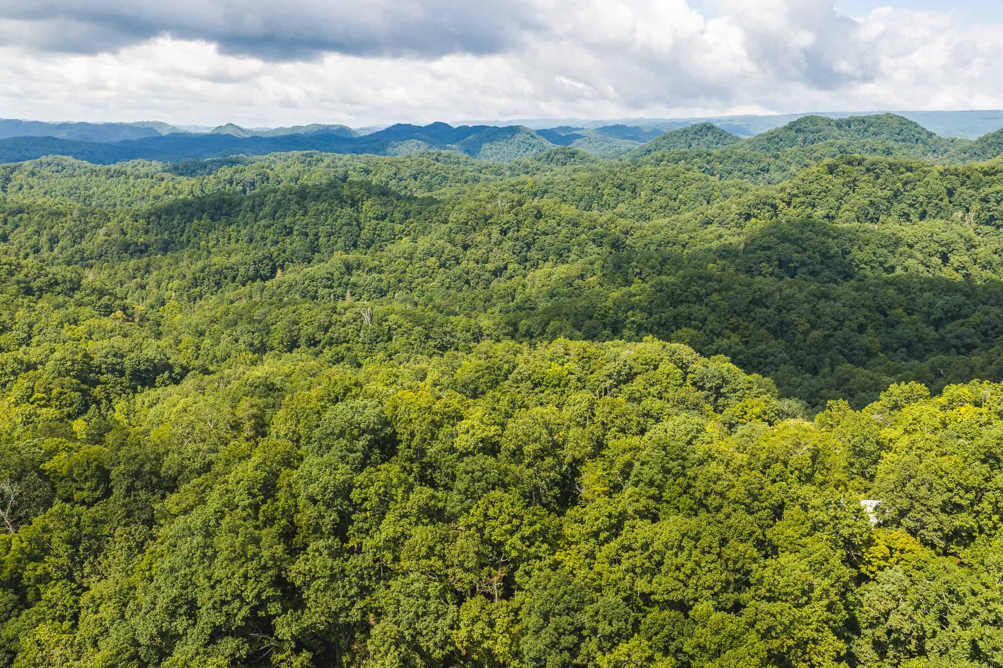 Private Retreat and Cabin for Sale in Scott Co