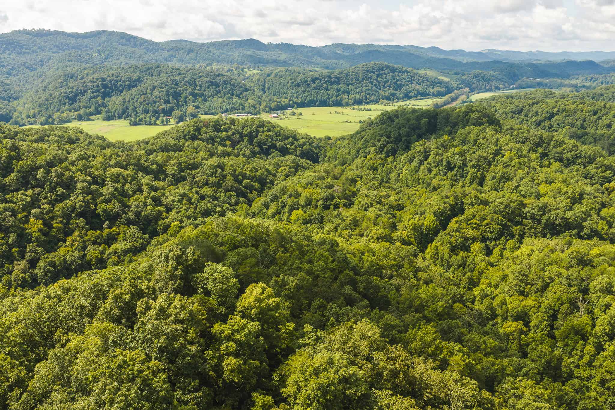 Private Retreat and Cabin for Sale in Scott Co