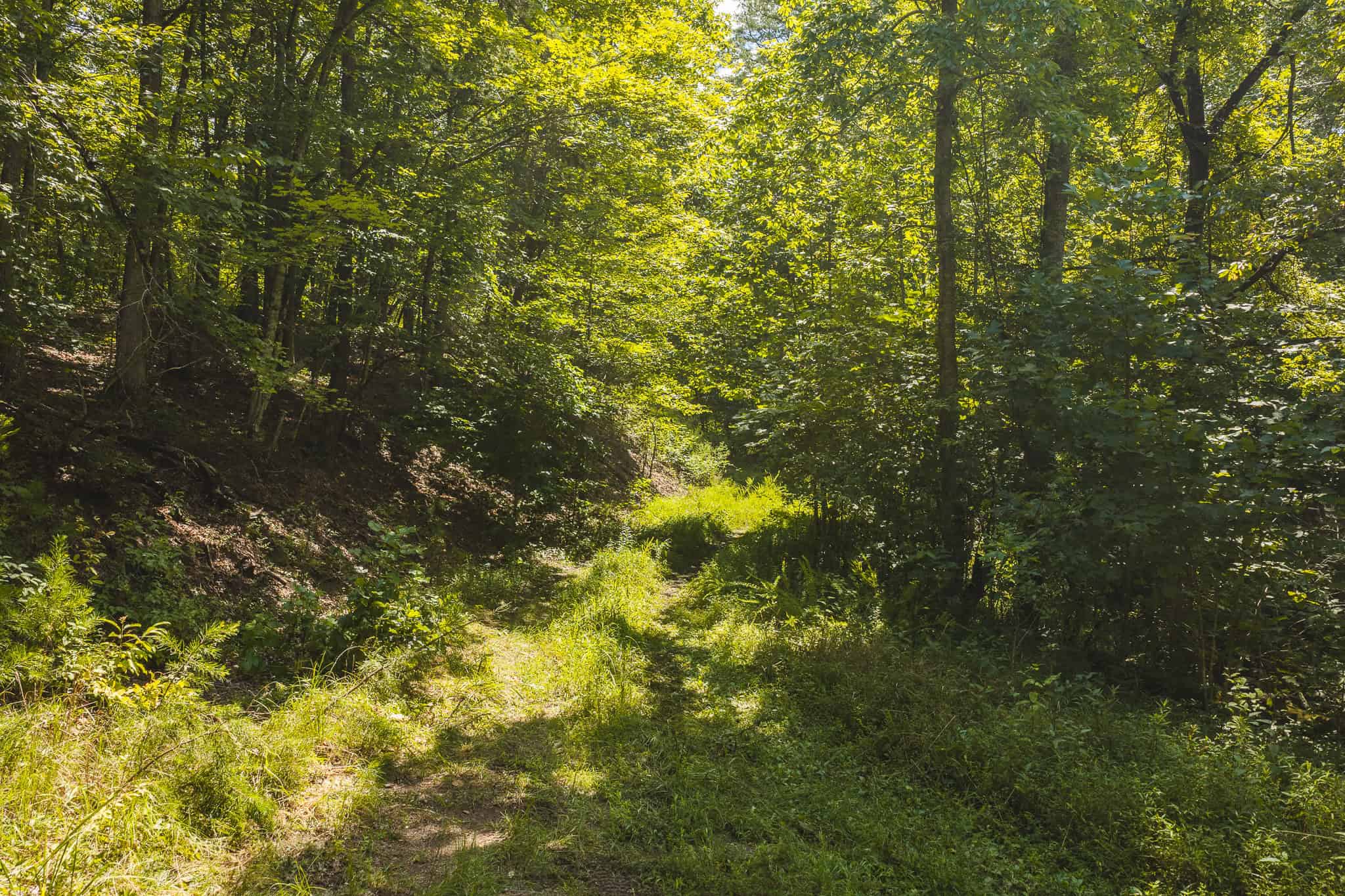 Private Retreat and Cabin for Sale in Scott Co