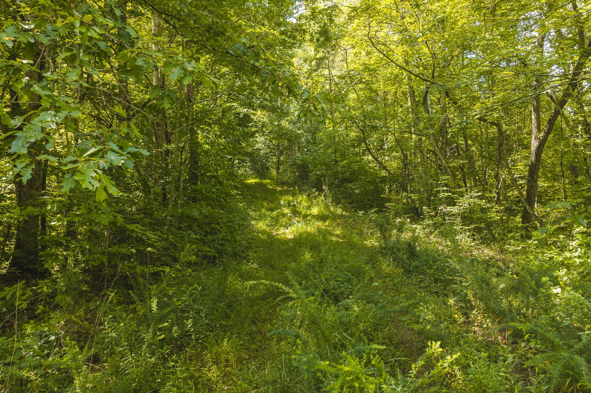 Private Retreat and Cabin for Sale in Scott Co