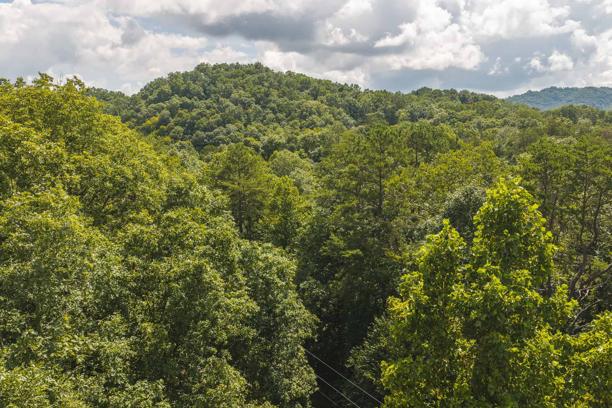 Private Retreat and Cabin for Sale in Scott Co
