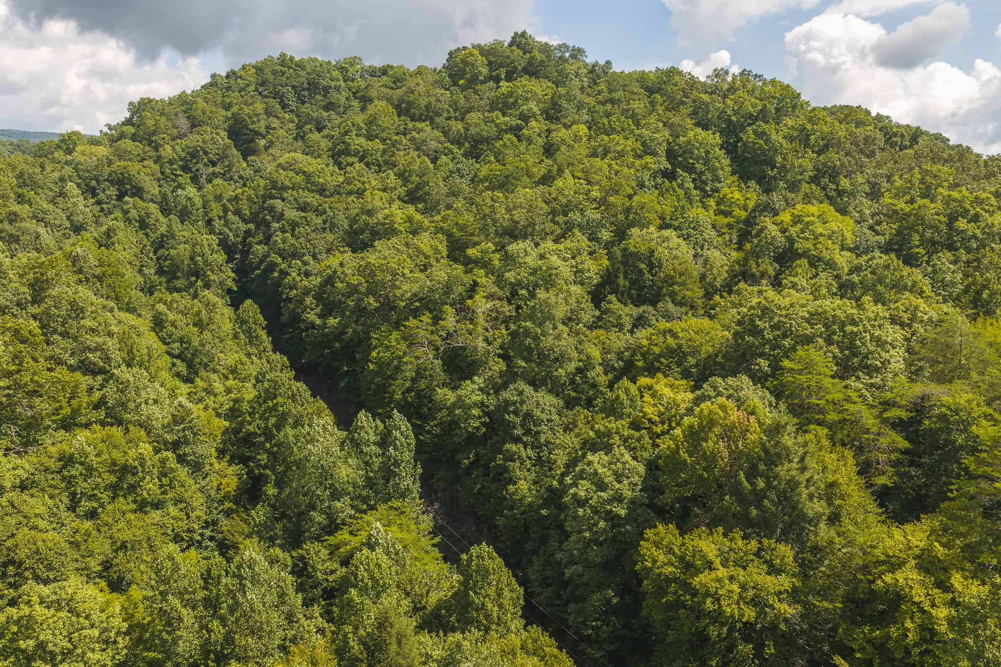 Private Retreat and Cabin for Sale in Scott Co