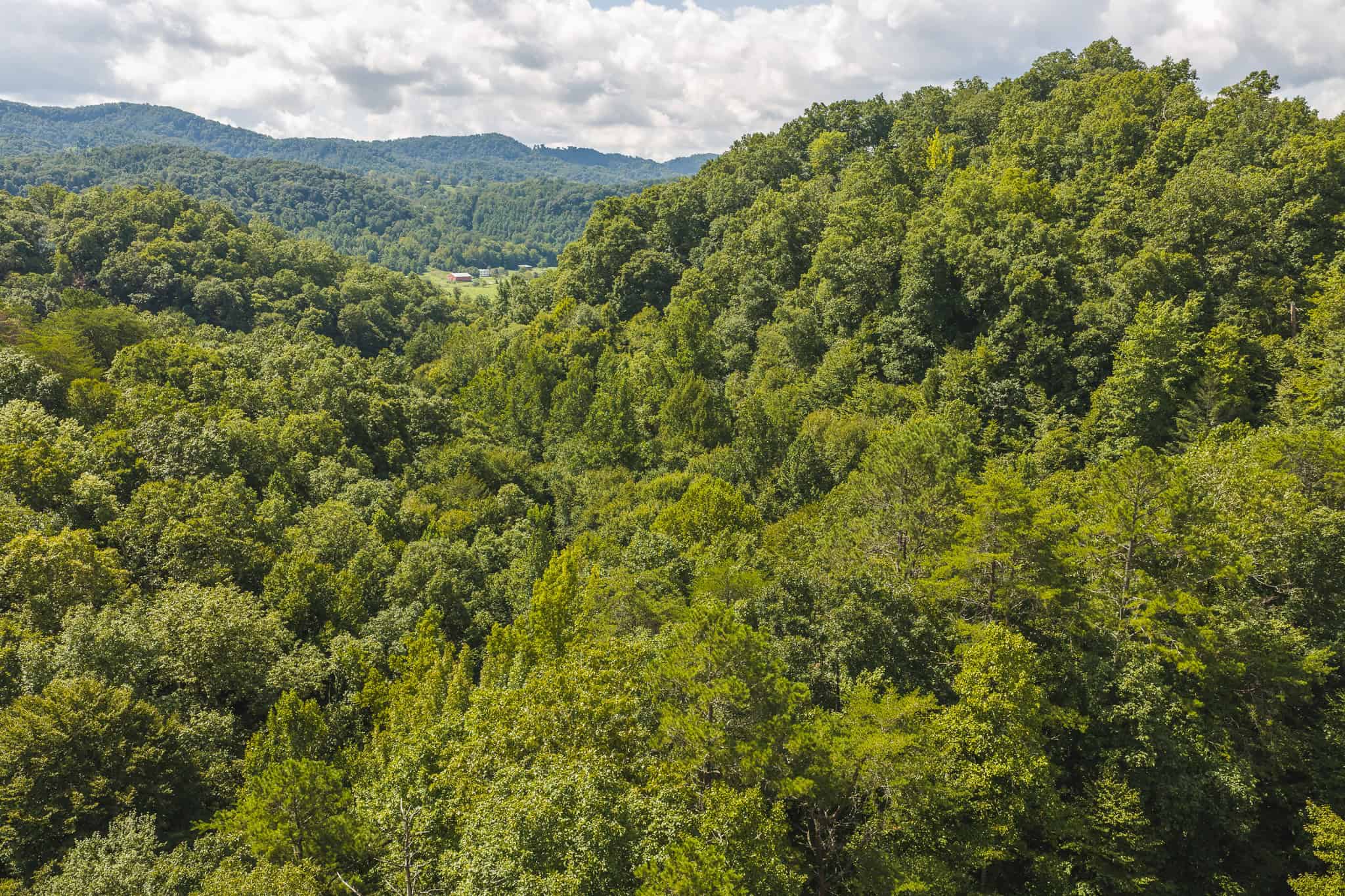 Private Retreat and Cabin for Sale in Scott Co