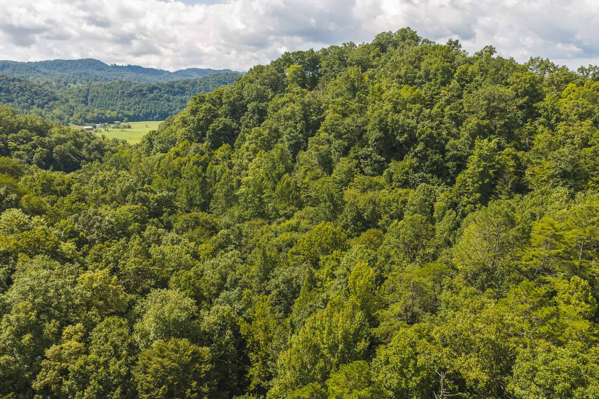 Private Retreat and Cabin for Sale in Scott Co