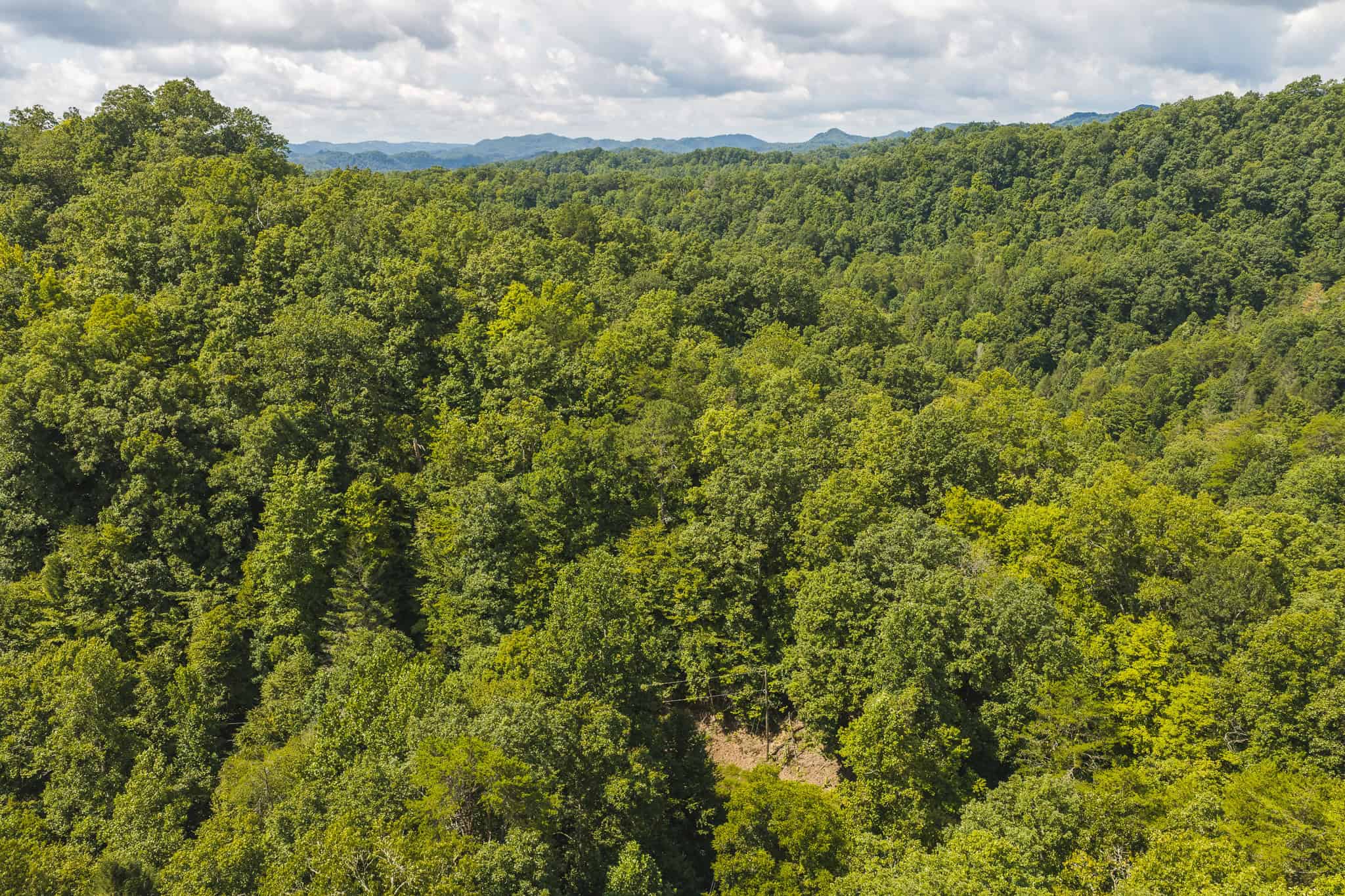 Private Retreat and Cabin for Sale in Scott Co