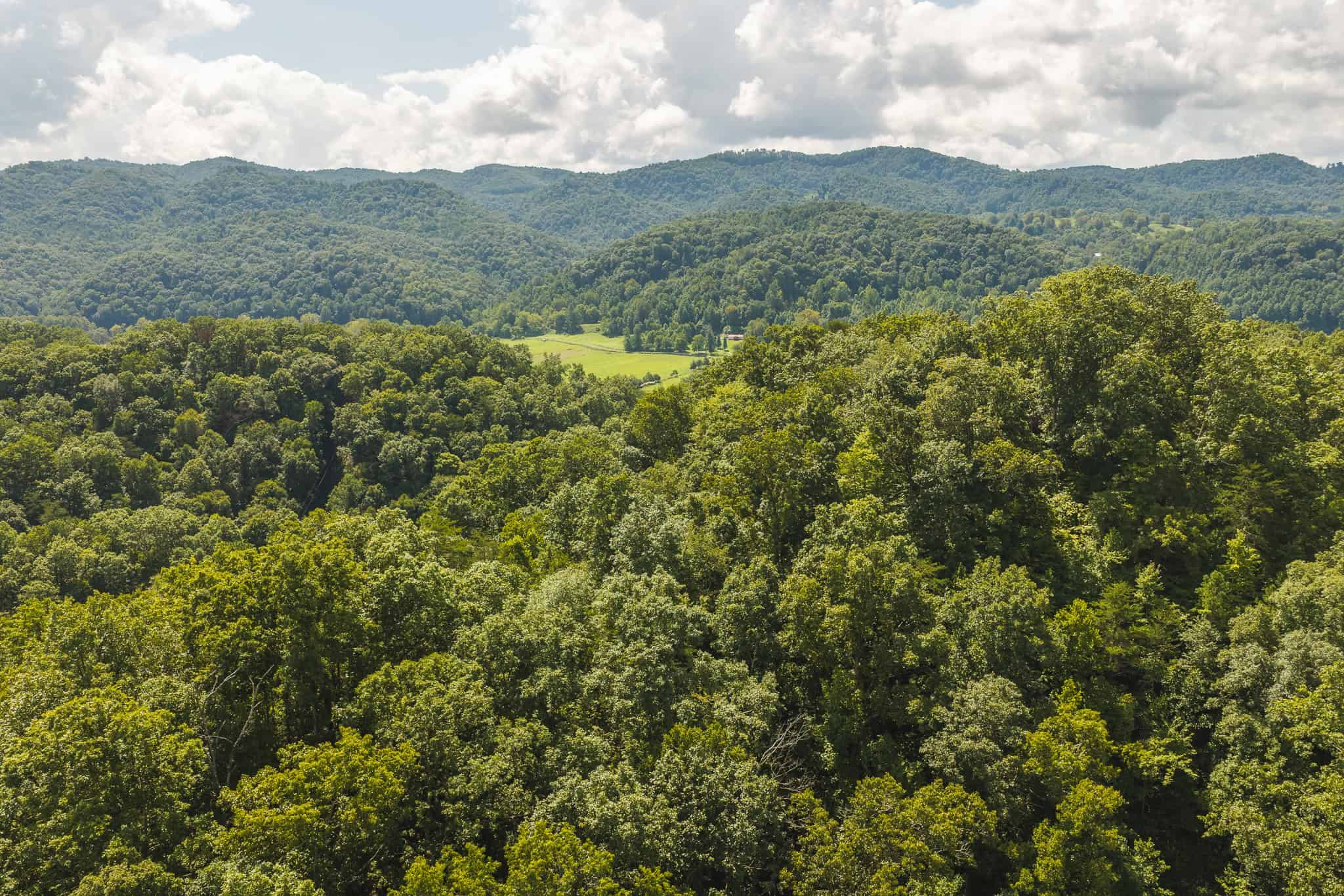 Private Retreat and Cabin for Sale in Scott Co
