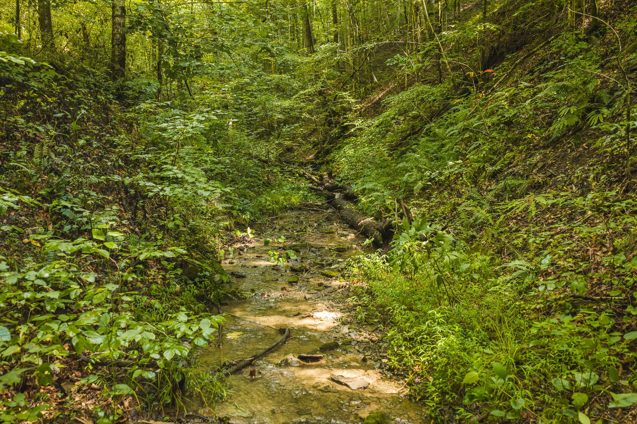 Private Retreat and Cabin for Sale in Scott Co