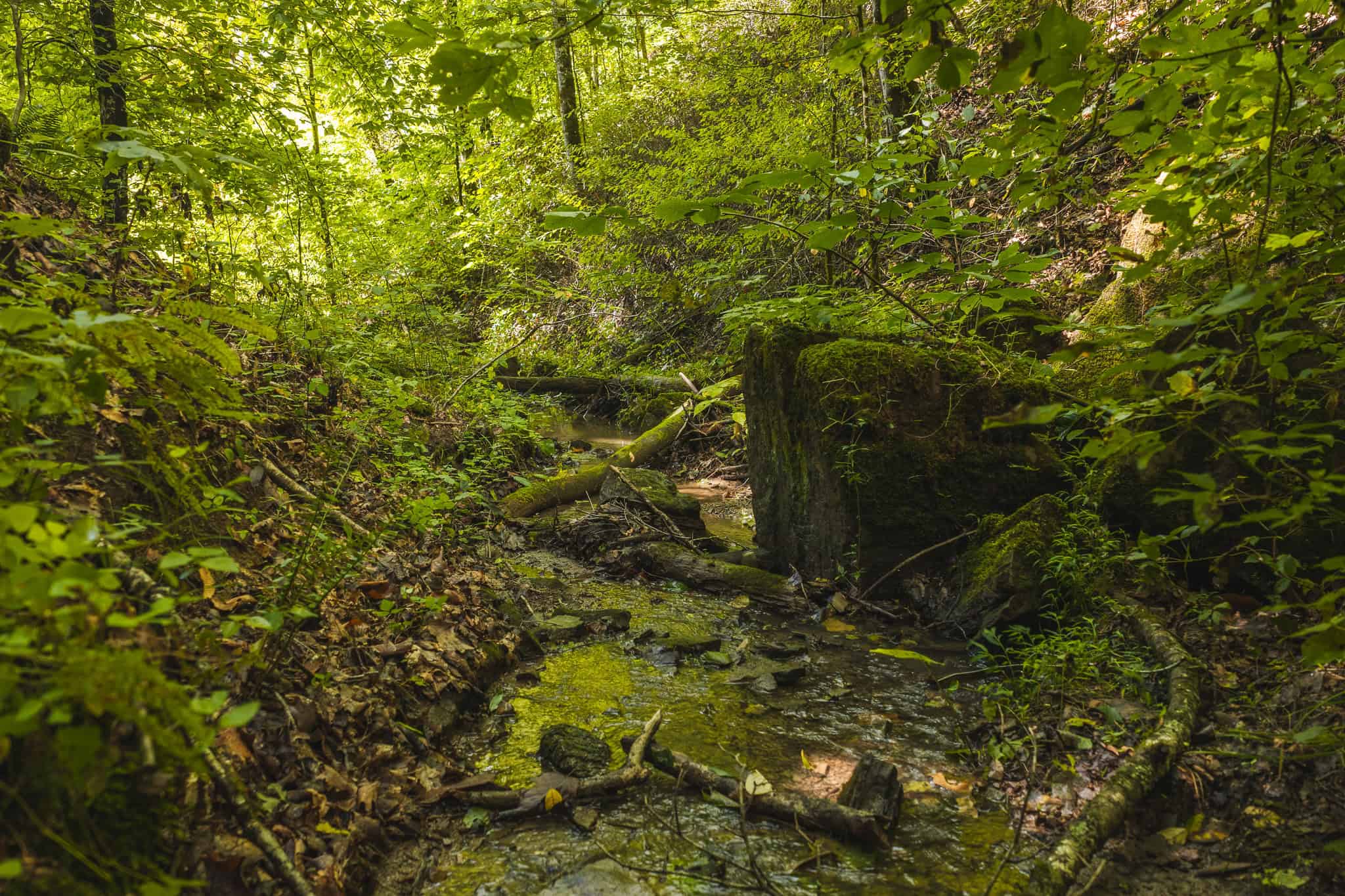 Private Retreat and Cabin for Sale in Scott Co