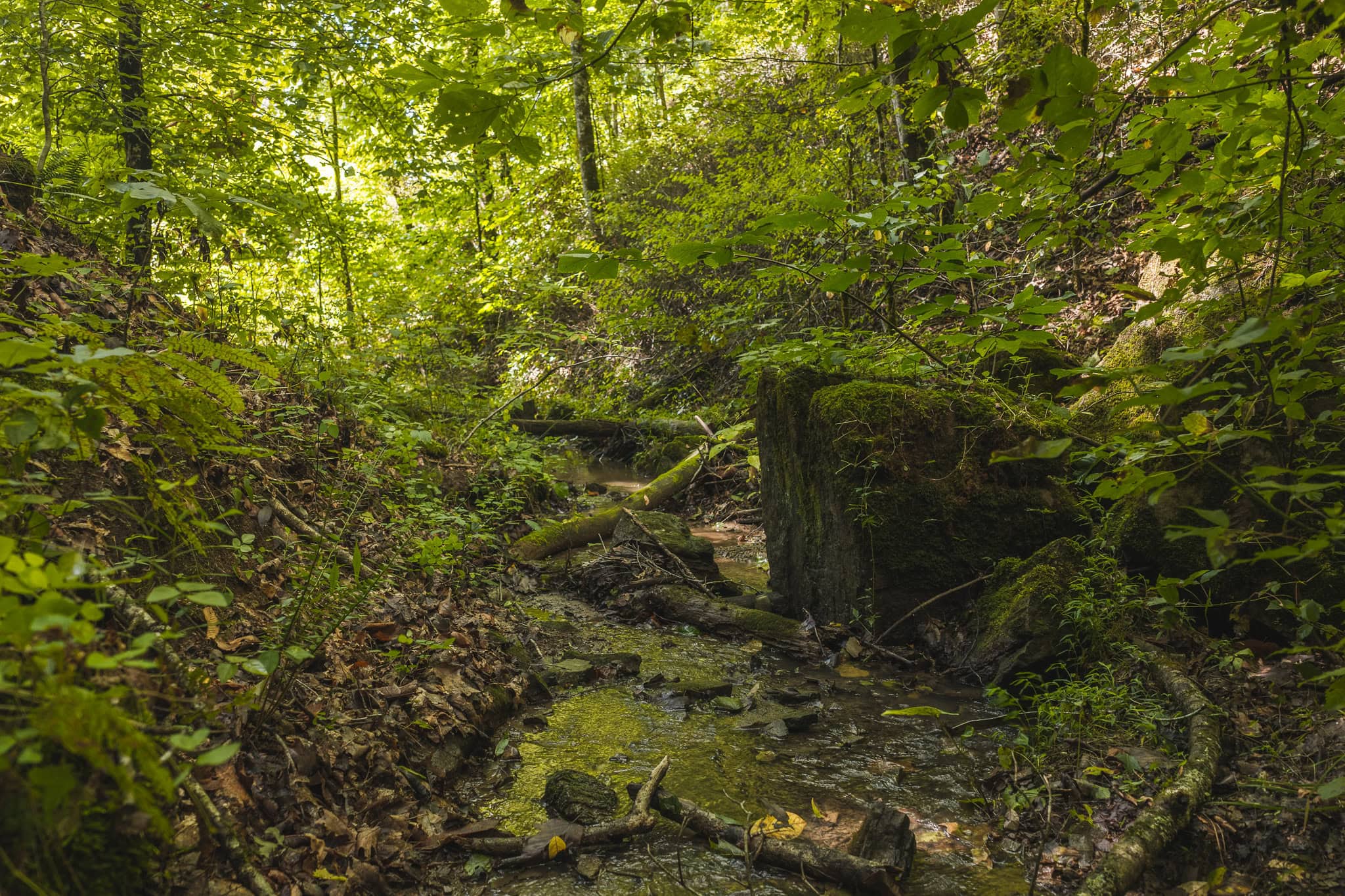 Private Retreat and Cabin for Sale in Scott Co