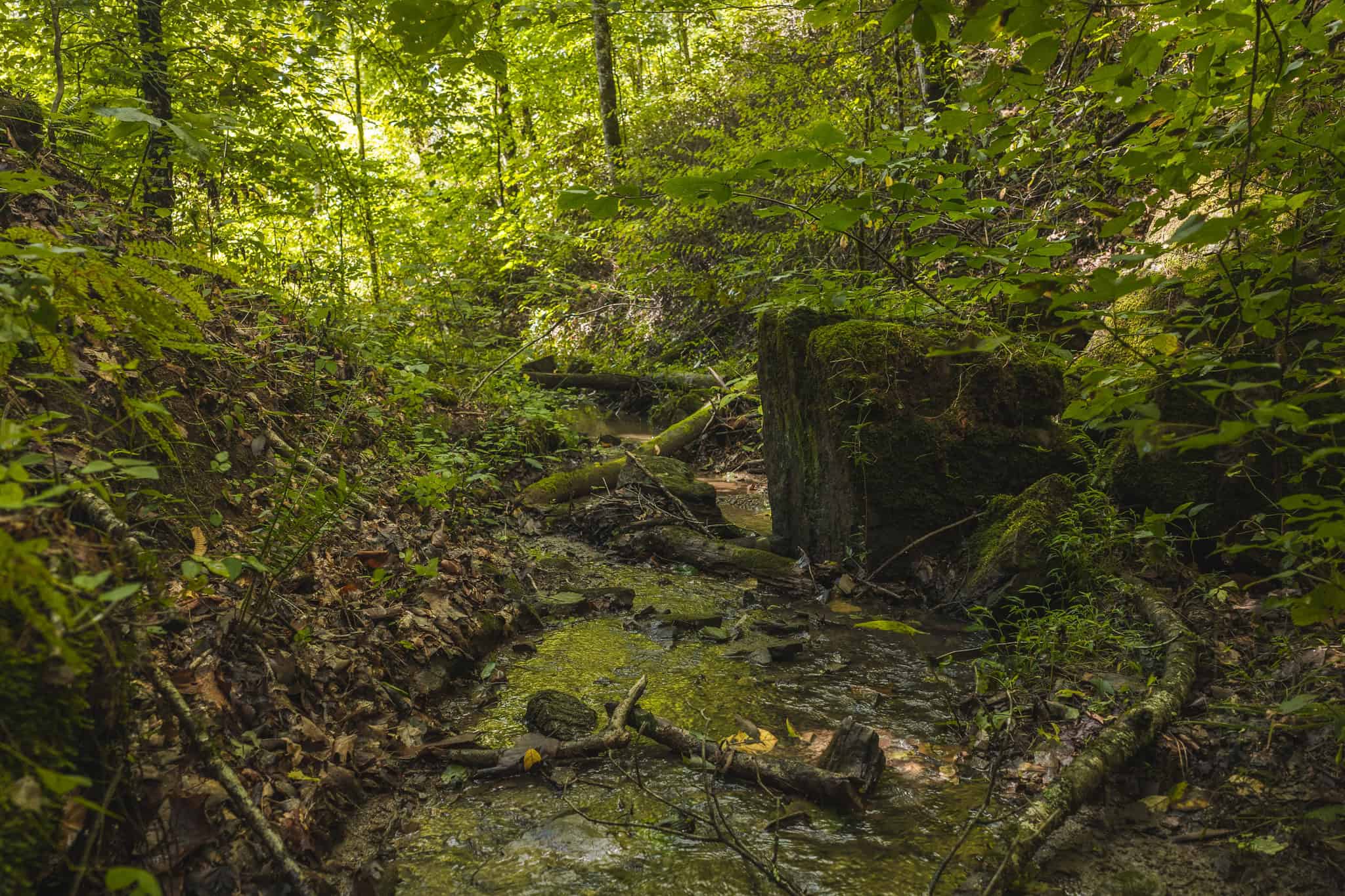 Private Retreat and Cabin for Sale in Scott Co
