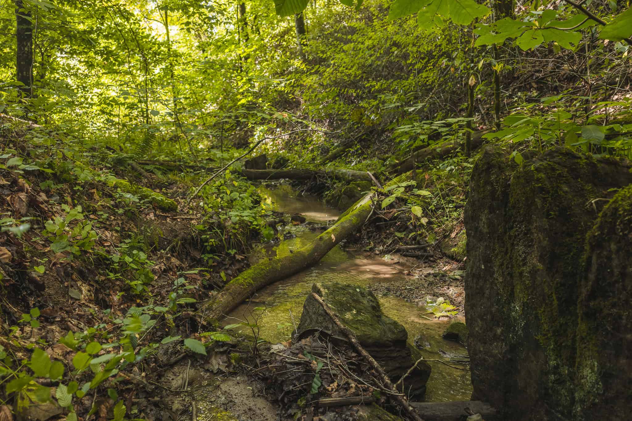 Private Retreat and Cabin for Sale in Scott Co