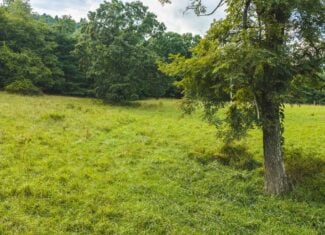 Land for sale in Floyd County VA