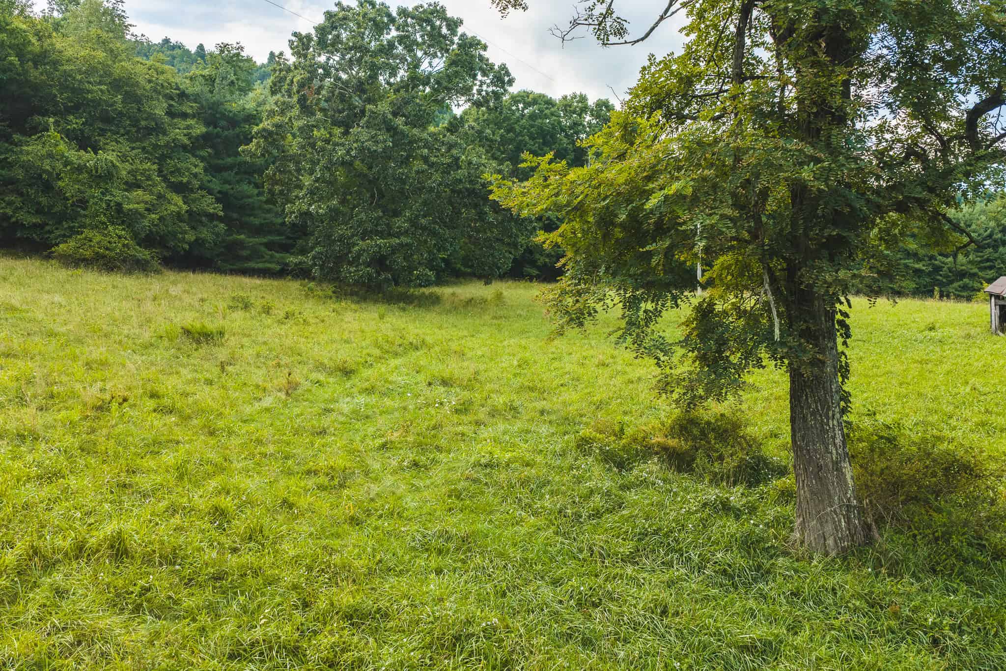 Land for sale in Floyd County VA