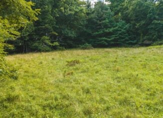 Land for sale in Floyd County VA