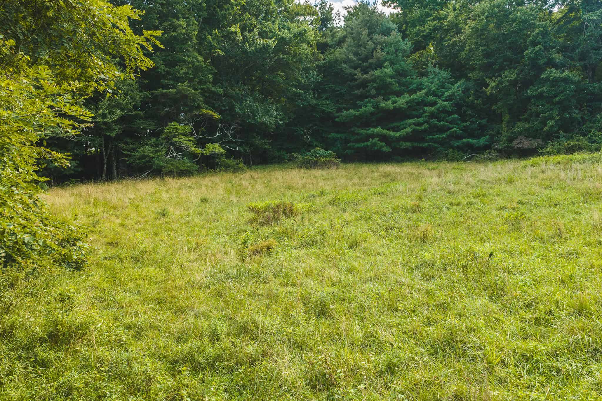 Land for sale in Floyd County VA